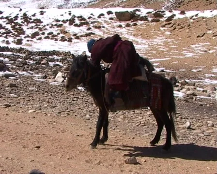 Horseman nomad  Stock Footage 401005