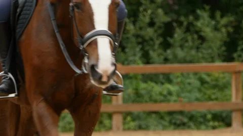 Horseman on passes by Stock Footage 116777084