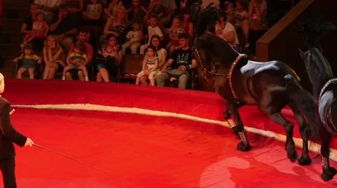 Horsemen Performance At Arena Of The Circus Stock-Footage 55397901