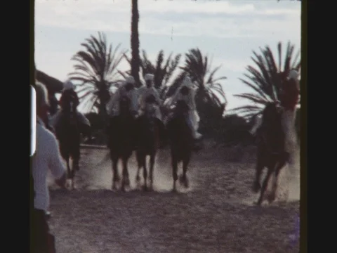 Horsemen Performing Acrobatics Stock Footage 80734055