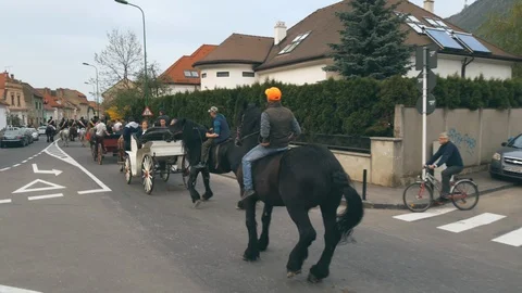 Horsemen riding balky black draft stallions on the street Stock Footage 100441644