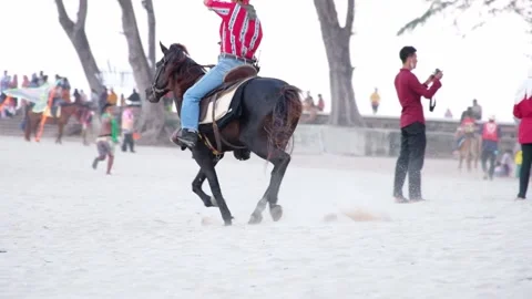 Horsemen running on the beach Stock Footage 134465067