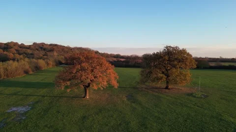 Horsenden Hill Stock Footage 261355277