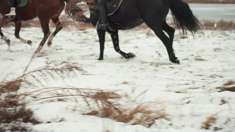 Horsepower performance amidst cold snowy terrain. Vigorous equestrian event Stock Footage 333320775