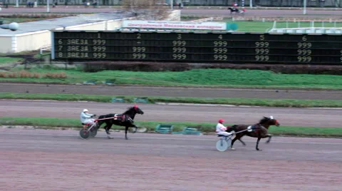 Horserace (1) Stock Footage 917280