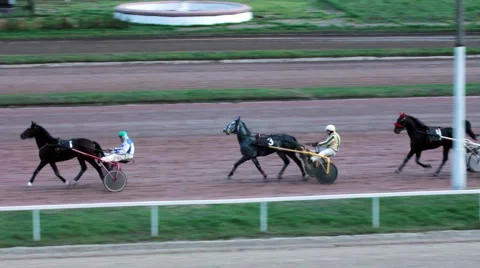Horserace (4) Stock Footage 917323