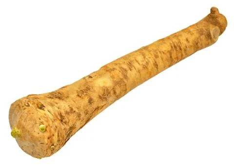 Horseradish Root Stock Photos