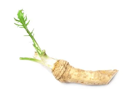 Horseradish root on white background Stock Photos