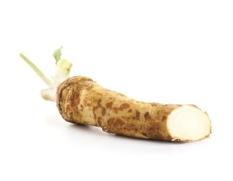 Horseradish root on white background Stock Photos