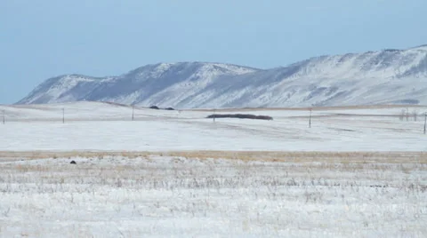 Horses 2 Stock Footage 36934506