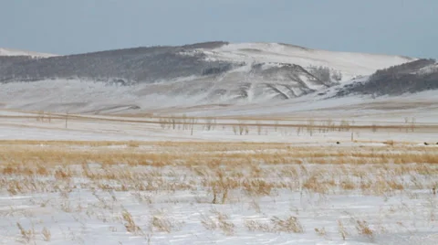 Horses 4 Stock Footage 36934517