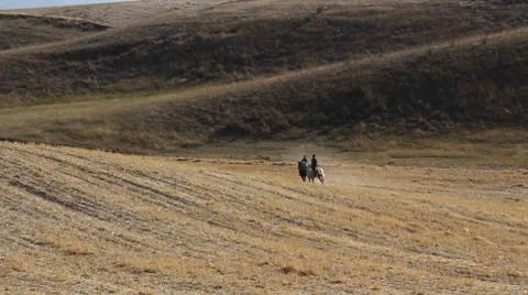 Horses 48 Stock Footage 7133040