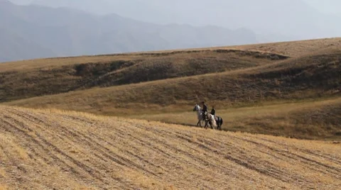 Horses 51 Video stock 7133036