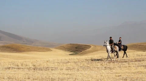 Horses 52 Stock Footage 7133007