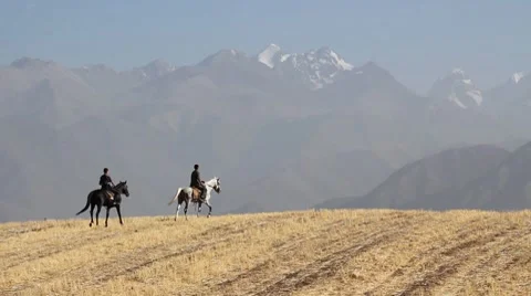 Horses 54 Stock Footage 7132985