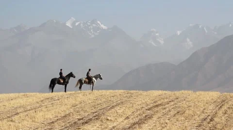 Horses 55 스톡 동영상 7133029