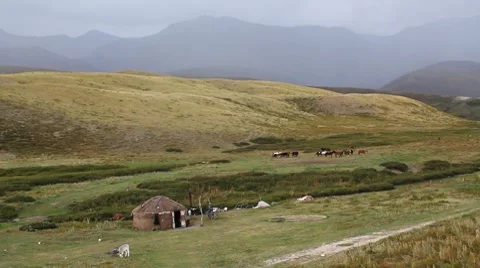 Horses 57 Stock Footage 7132999