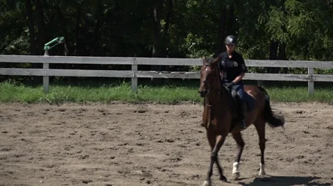 Horses and racetrack Video stock 65779084