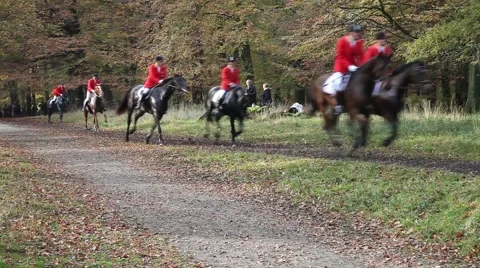 Horses and Riders at the Annual Drag Hunt "Hubertusjagten" Stock Footage