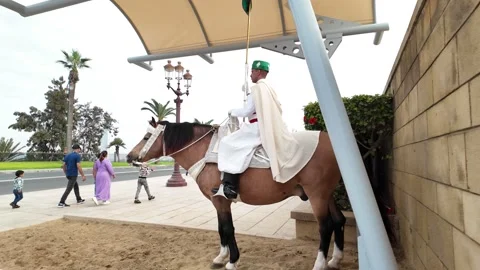 Horses and Royal Guards , Rabat, Morocco – October 1, 2025 Stock-Footage 320072053