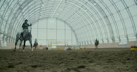 Horses in the arena  Stock Footage 61556336