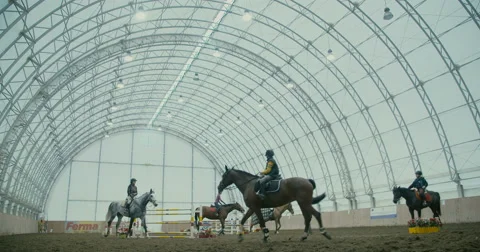 Horses in the arena  Stock Footage 61556473