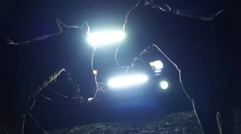 Horses on Background of Car Light at Night in Rain 스톡 동영상 52520997
