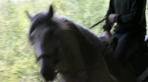 Horses ballad Stock Footage 494479