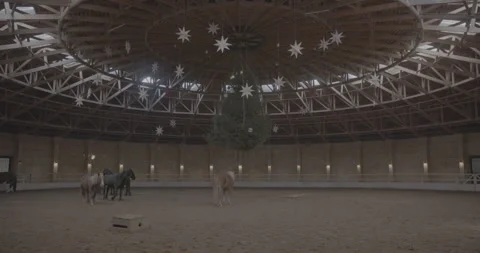 Horses in the Barn Stock Footage 250783470