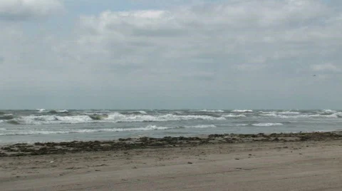 Horses on beach pan rt M HD Stock Footage 118463