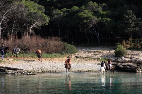 Horses on the beach Stock Photos