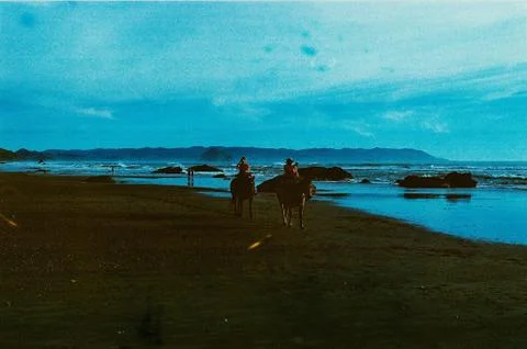 Horses on Beach Stock Photos