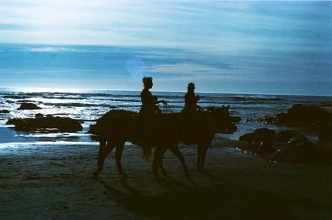 Horses on Beach Stock Photos