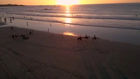 Horses on the beach at sunset Video stock 267095969