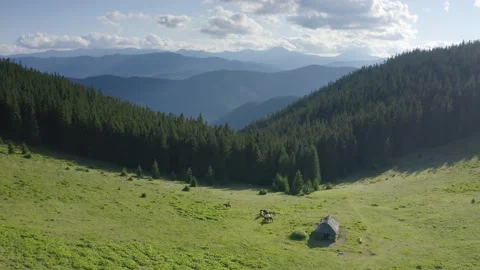 Horses in the Carpathians Stock Footage 170757129