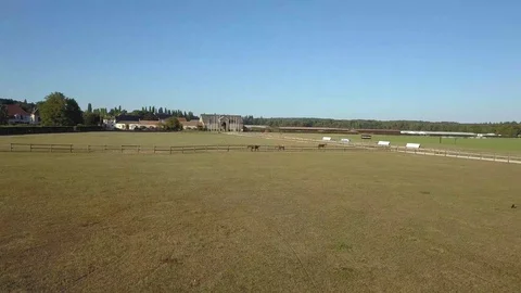 Horses castle Stock Footage 126594946