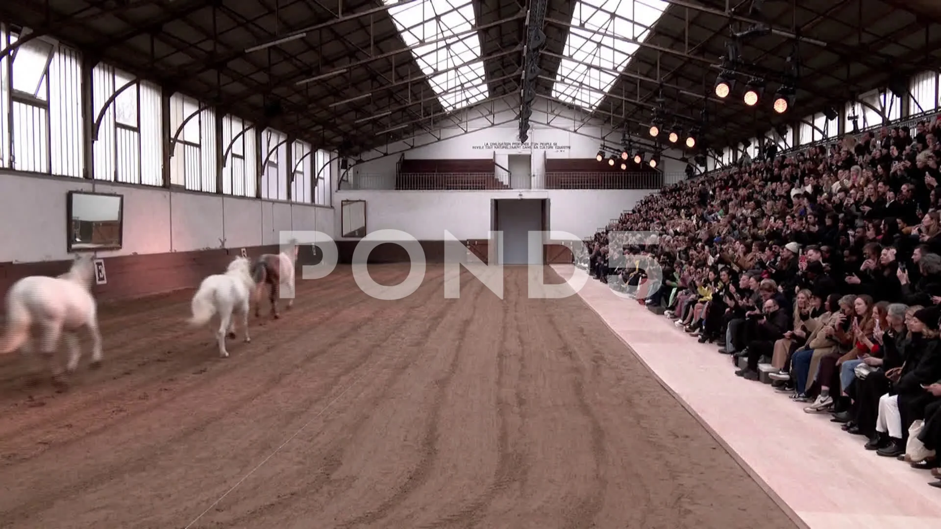 Horses on the catwalk: Stella McCartney pushes leather-free style