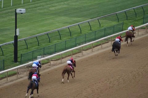 Horses come down final strech in Churchill Downs claiming race Stock Photos