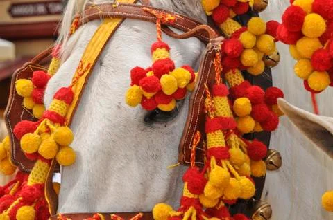 Horses decked in fair Stock Photos