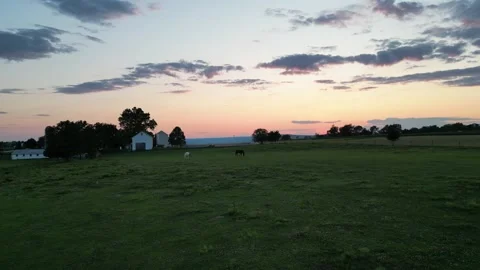 Horses On Farm At Sunset Stock Footage 252366653