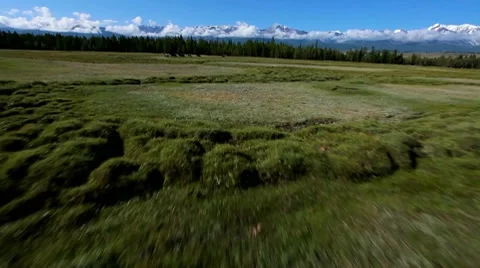 Horses Stock Footage 8679010