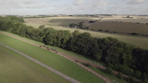 Horses Stock Footage 252068555