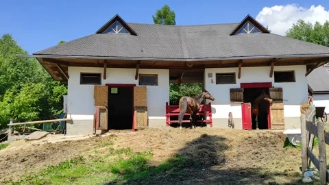Horses in front of the stable 스톡 동영상 156812850