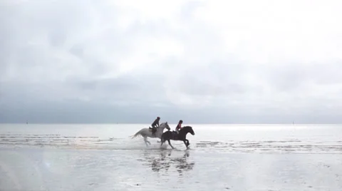 Horses gallop through water Stock Footage 36072853