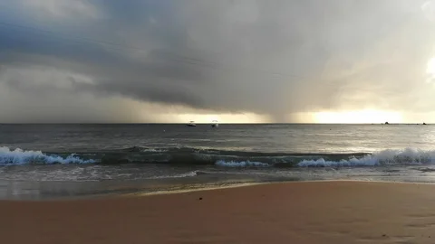 Horses galloping on the beach 4K. Stock Footage 107443043