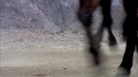 Horses galloping Stock Footage 235265536