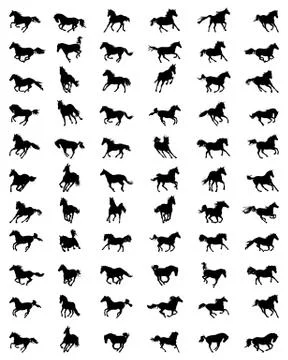 Horses in galloping Stock Illustration