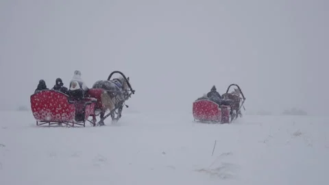 Horses galloping through the snow with a sleigh Stock Footage 258270900