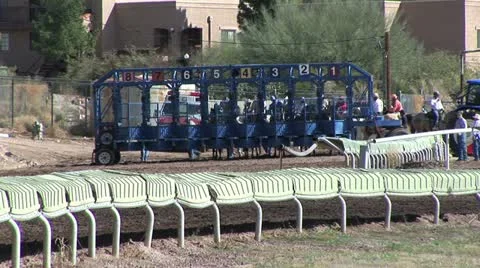 Horses Getting Into The Starting Gates Stock-Footage 19152033