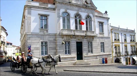 Horses in Giraldo square Stock Footage 27799460